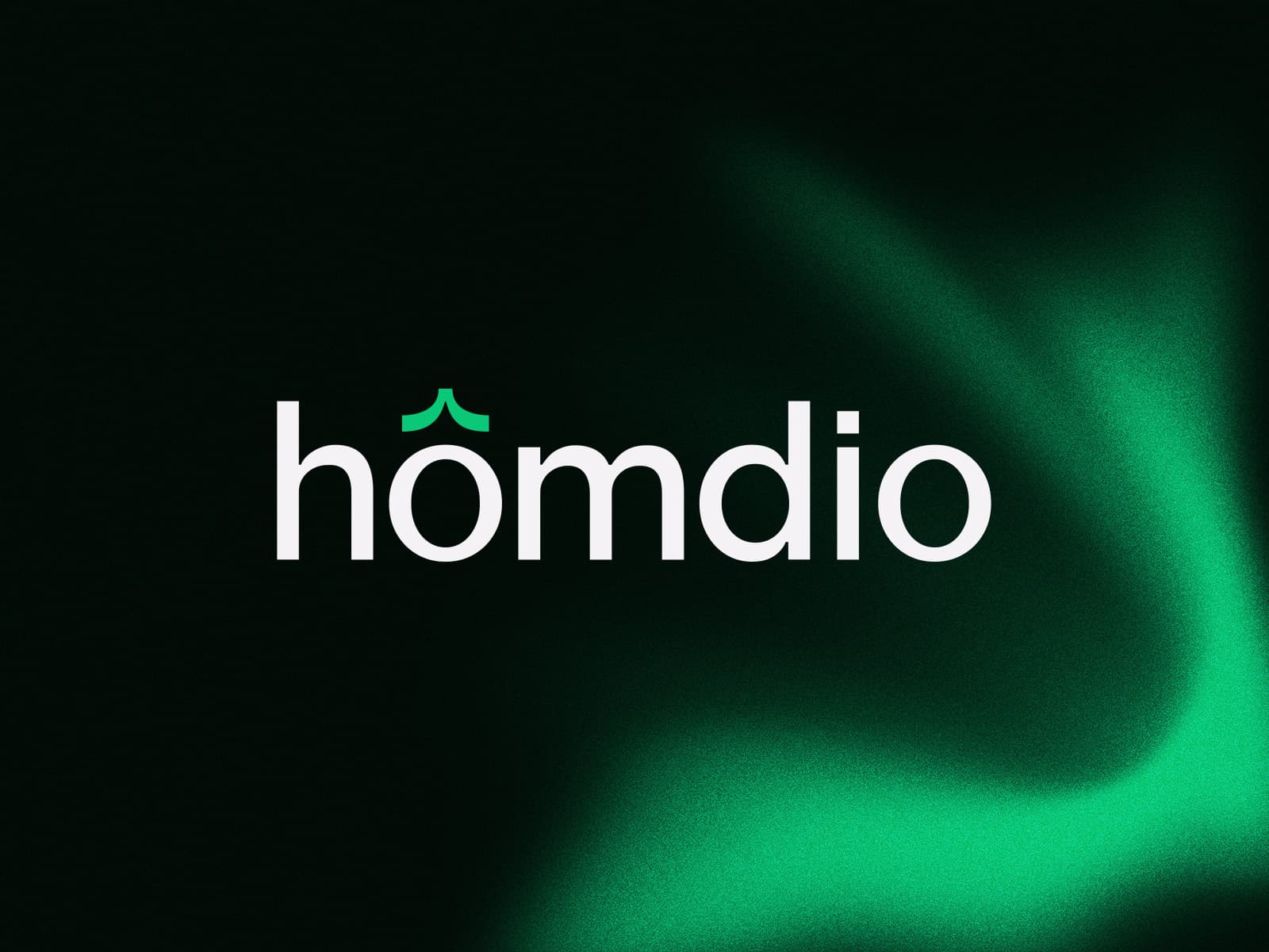 Homdio live brand guide preview