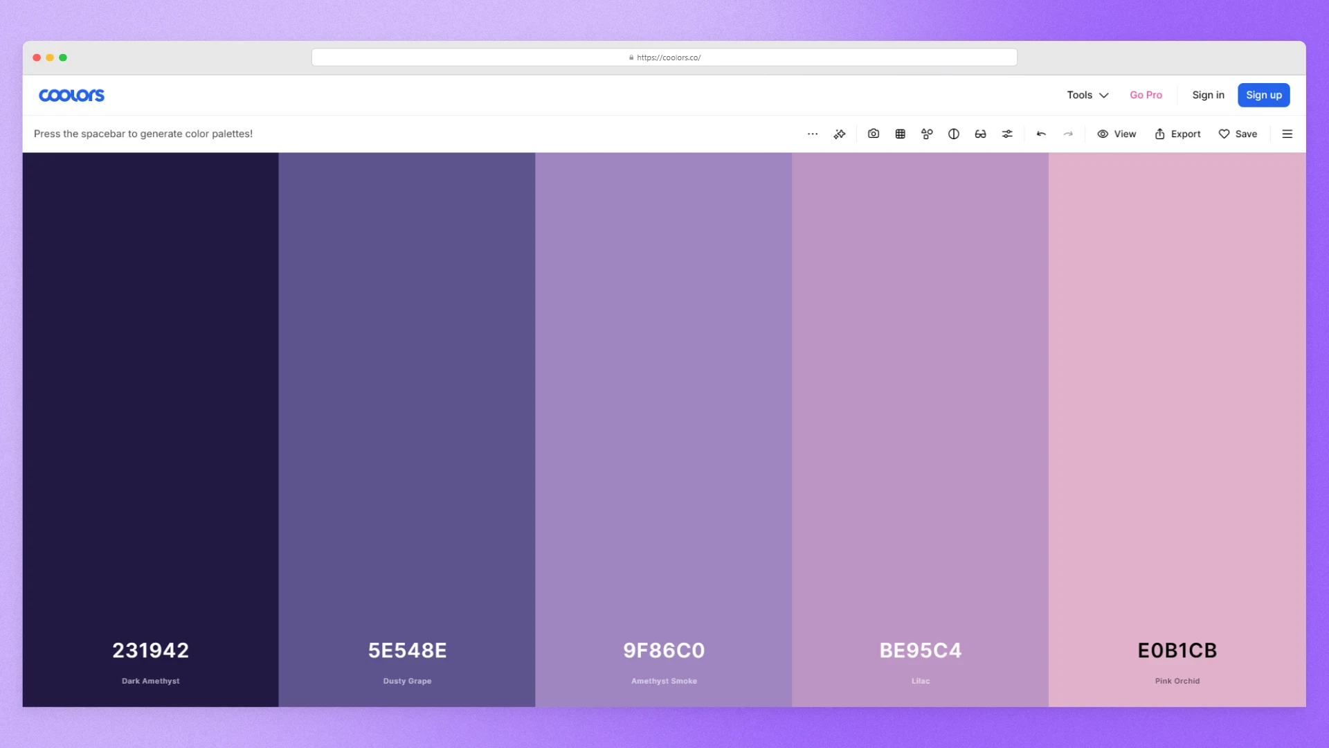 Coolors color palette generator